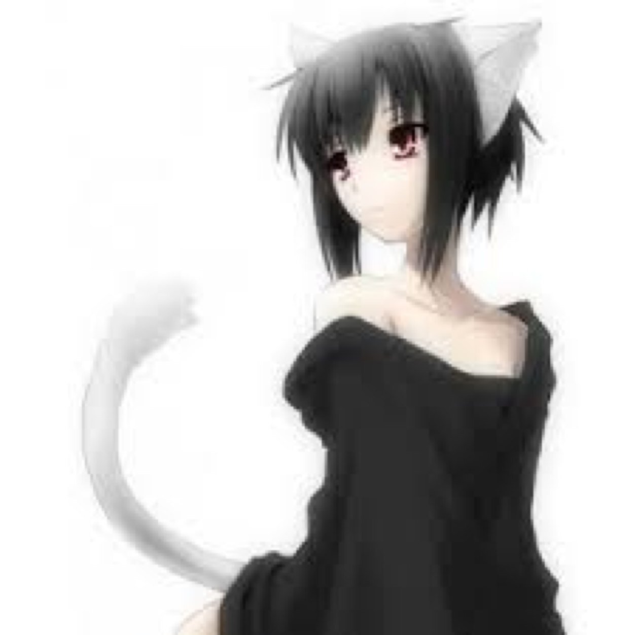 welll I am a fun loving girl that is easy to get along with as long as youre not annoying!!! Follow for follow always!!