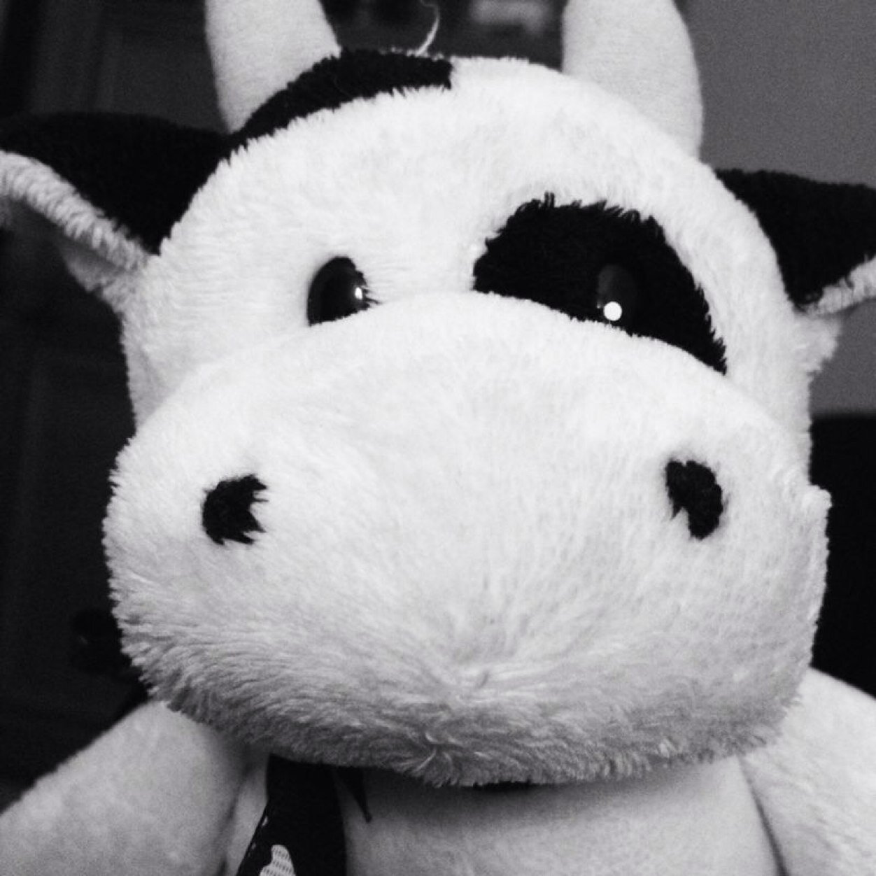 rumivaquita's profile picture. Clarke Peter's top fan