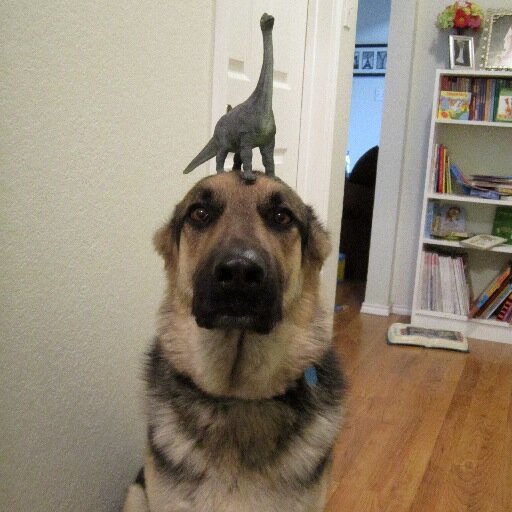StuffonOscarsHead
