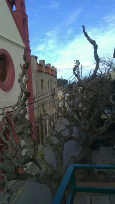 fannymoreno82fm's profile picture. 