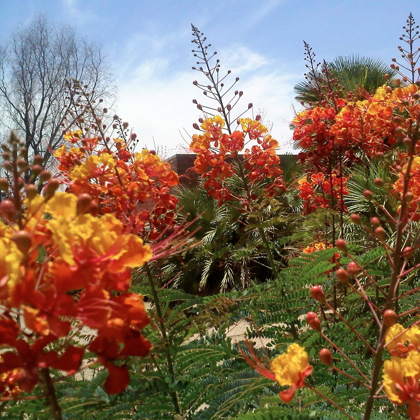 marisasandoval's profile picture. 