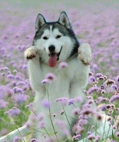 EllaLeigh5's profile picture. 