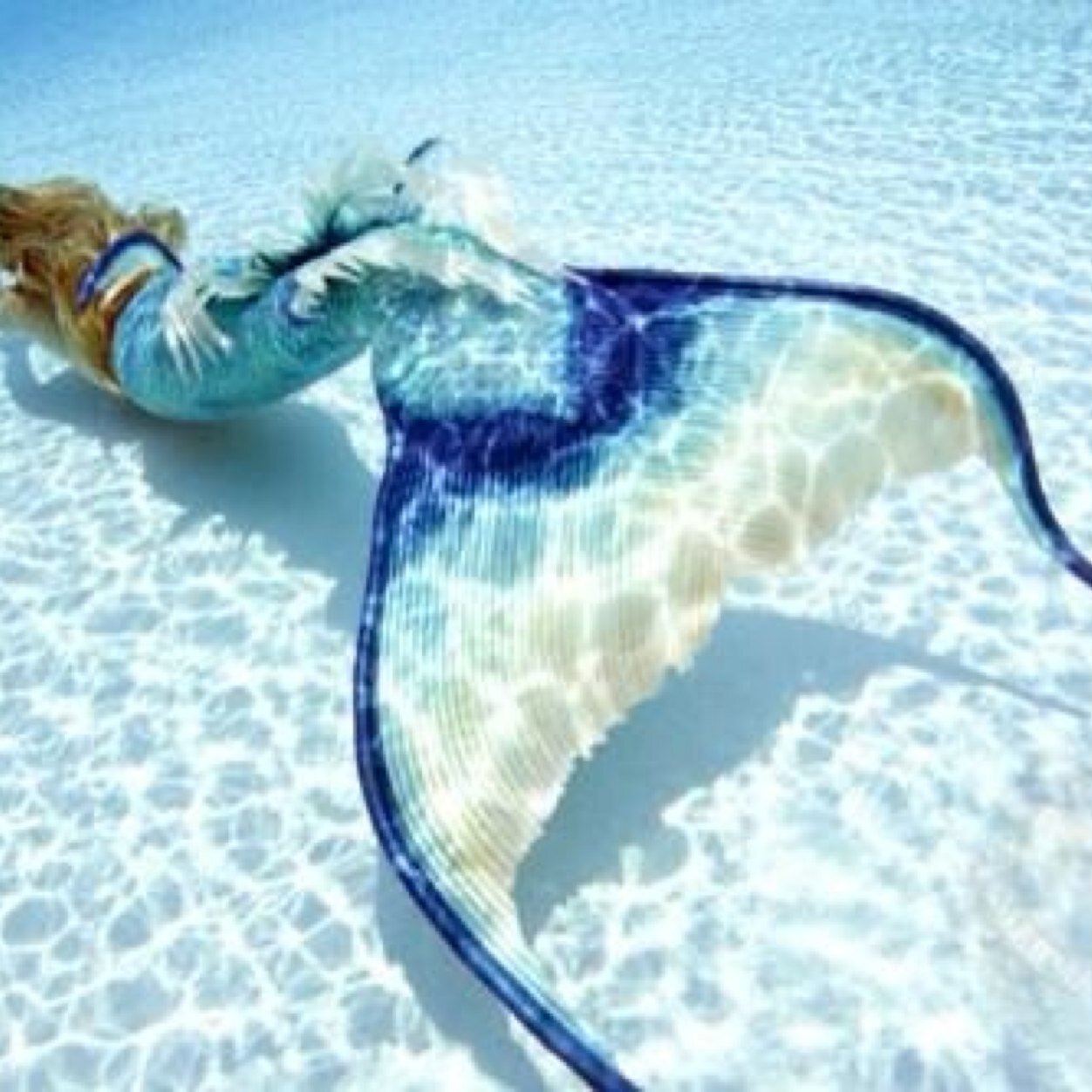 The classiest, sassiest, and assiest. Yes, I am an actual mermaid.