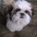 John Duce - @johnjaneduce - Twitter