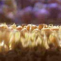 uri josa (@silenci___) 's Twitter Profile Photo uri josa (@silenci___) 's Twitter Profile Photo