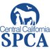 Central CA SPCA (@CCSPCAFresno) Twitter profile photo