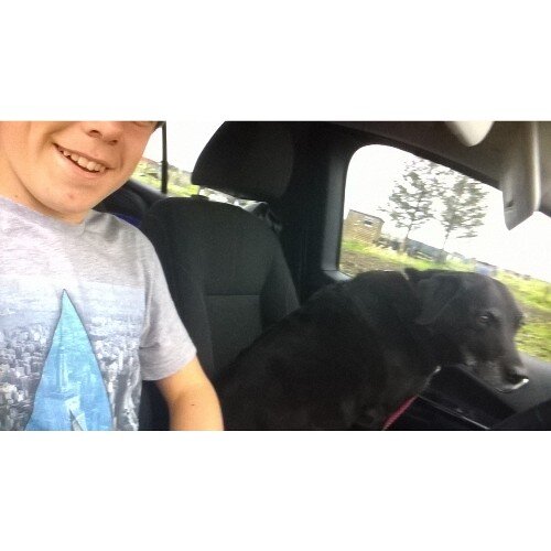 _tblob's profile picture. - in not gay in fabulous