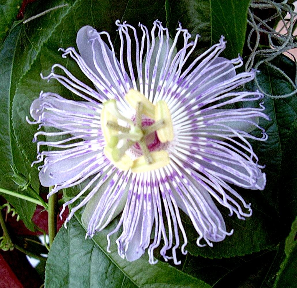 MVallaire's profile picture. 