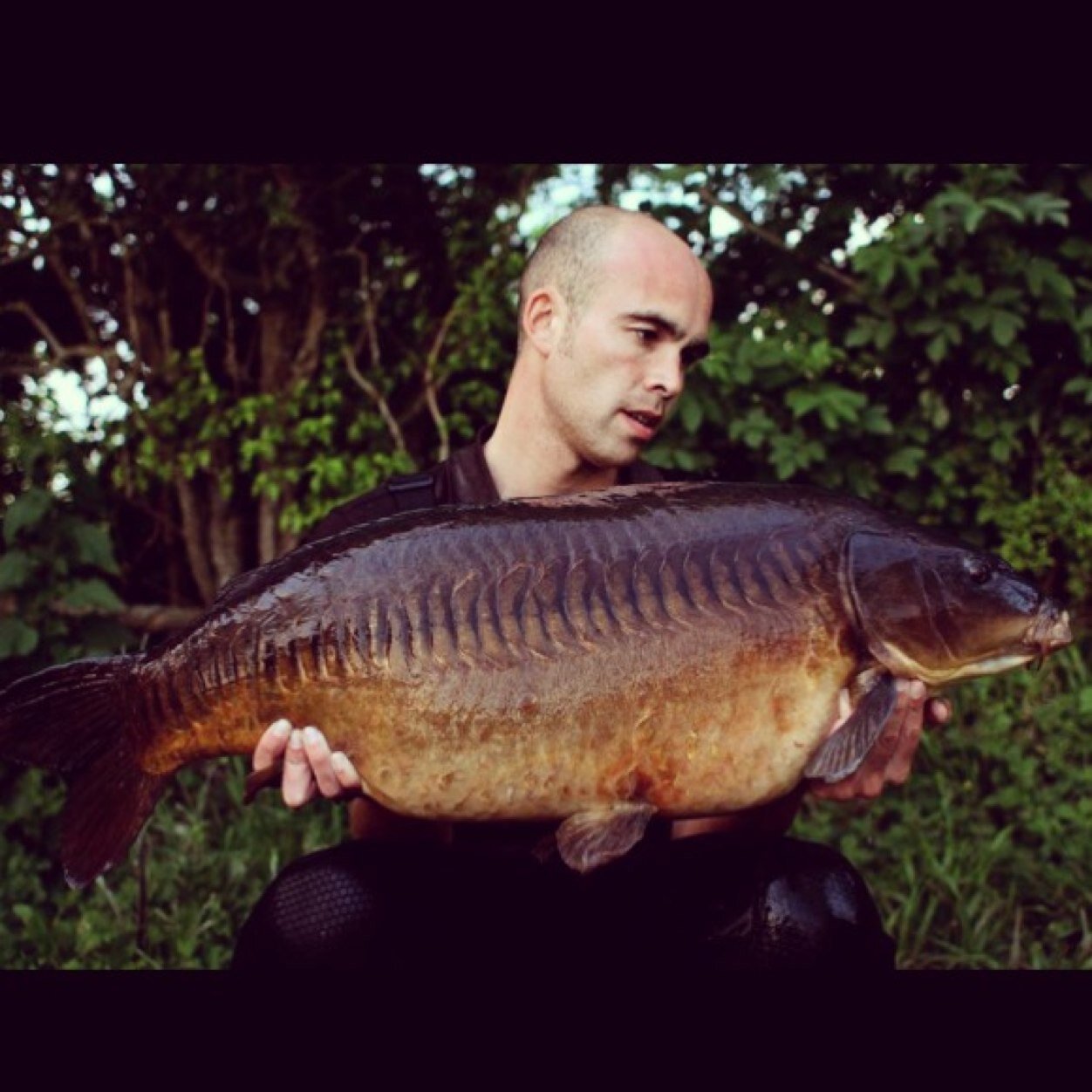 TimRowland2's profile picture. 