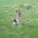 Mandi Cunningham - @22ae3d5dd9964da - Twitter