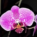 Leydi Cabrera - @LcLeydicabrera - Twitter