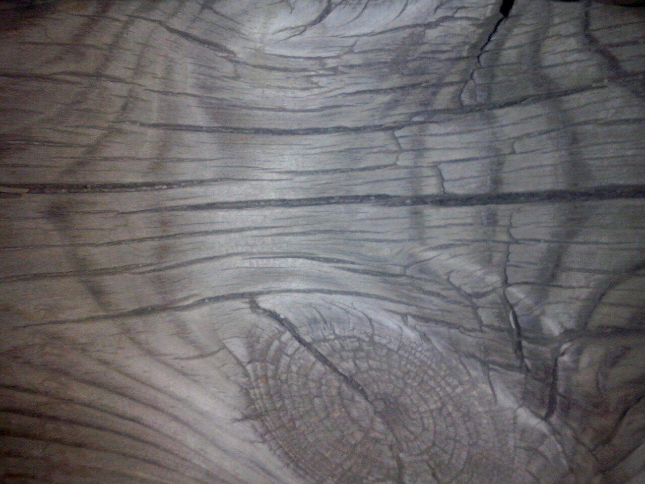 jhuerga1's profile picture. Como la de todos. variada intensa y única