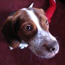 Ken Rivera - @HeartOfAWorrier - Twitter