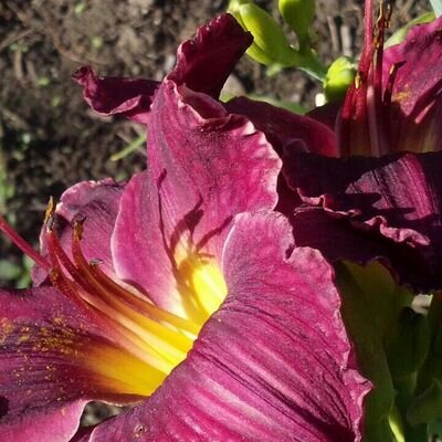 8bbb8fcd5f8b46d's profile picture. 