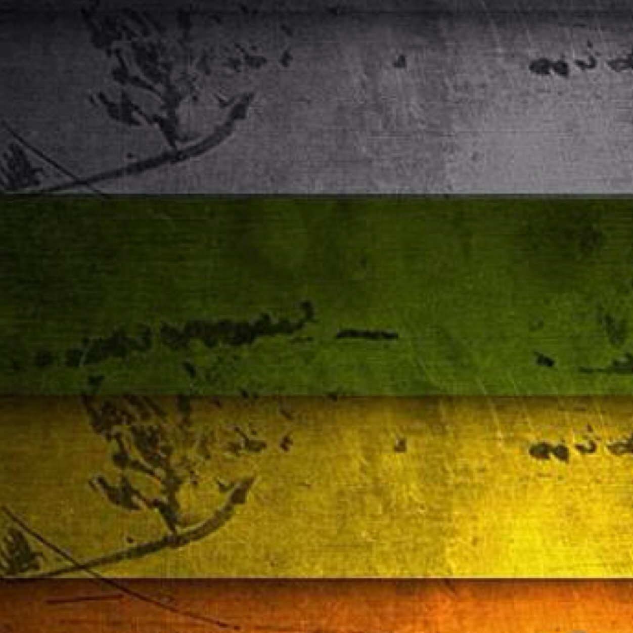 JayqoFR's profile picture. 