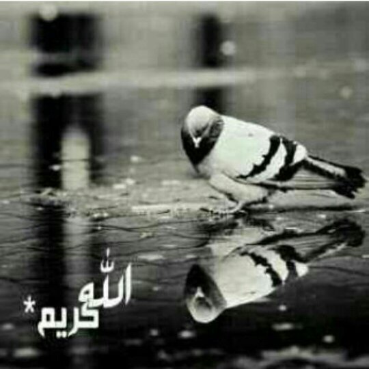 مَهْمَا تَكُن قسْوّةُ الماضي ،لا تَجّعَلوه يؤثِرّ على الحَاضِر !