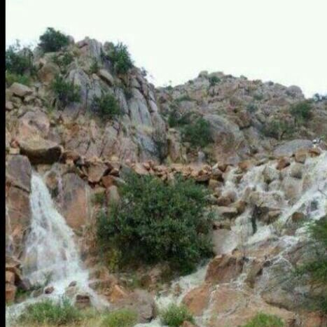 mershed5's profile picture. 