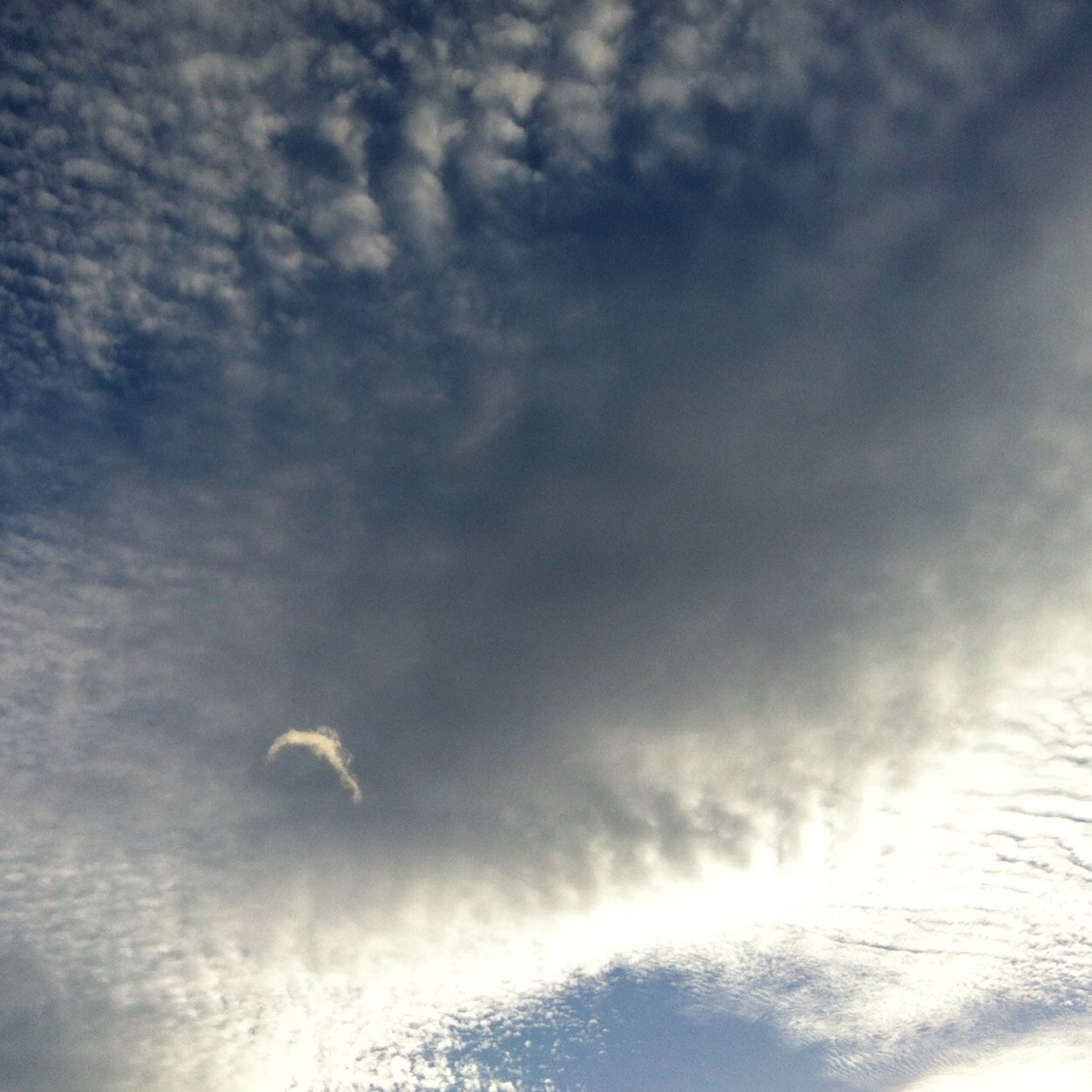 Ex-astrophysicist, editor, and cloud enthusiast.