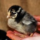 Nancy Padfield - @Nancy_Edenfield - Twitter