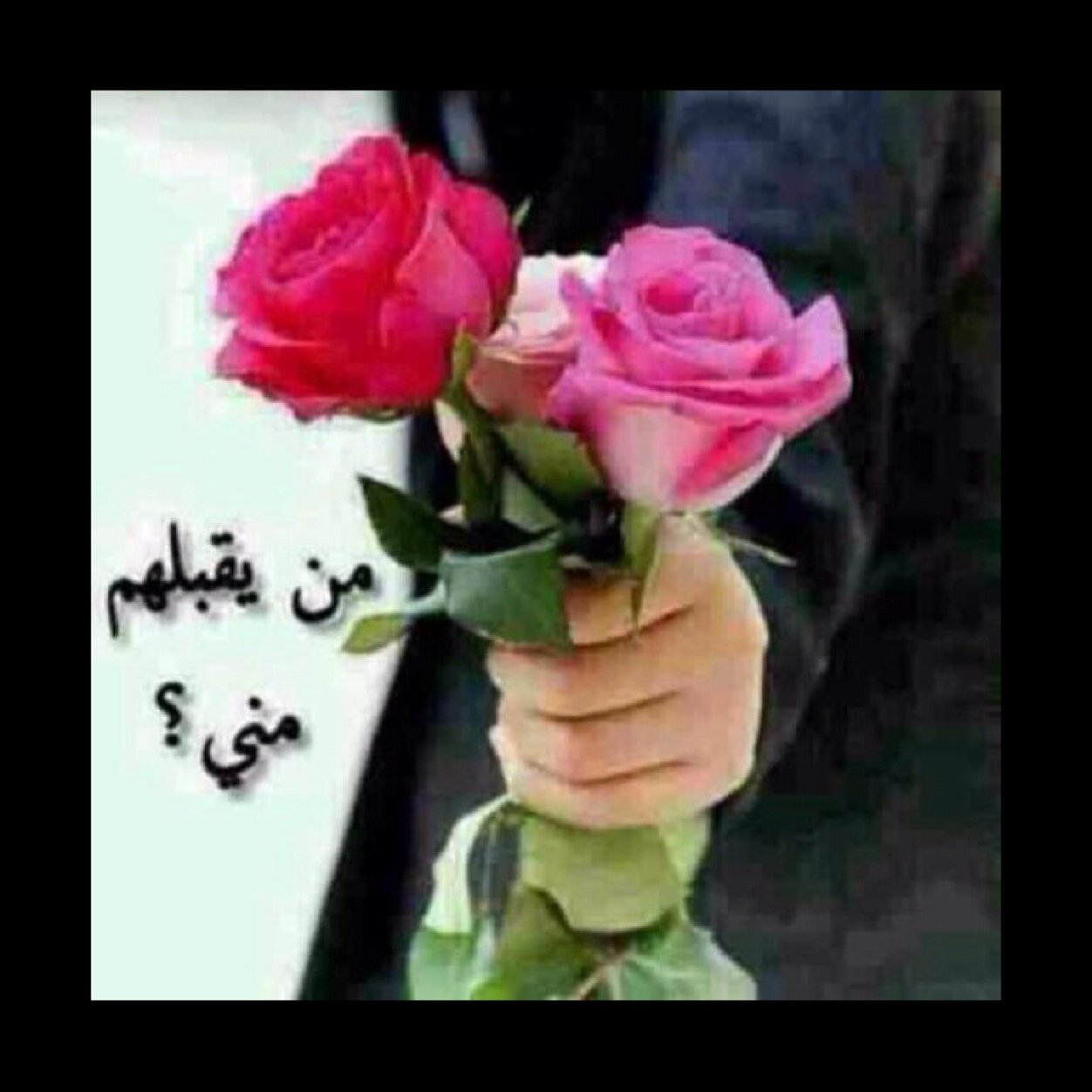 yusufkadirhan3's profile picture. 