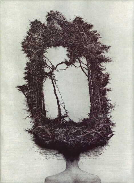 anggaendy's profile picture. 