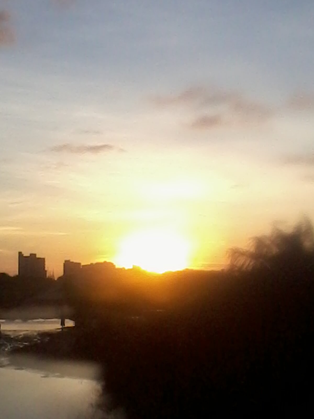 ganho001's profile picture. Beta