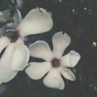  ∝عــذرٱ الــخْـاصٖ مٌــهْــمل ∝