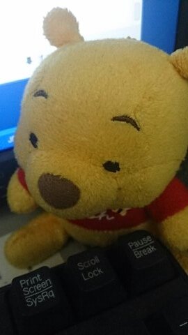 一般人のフォローはしません