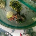 Terry Ku - @ku_terry - Twitter