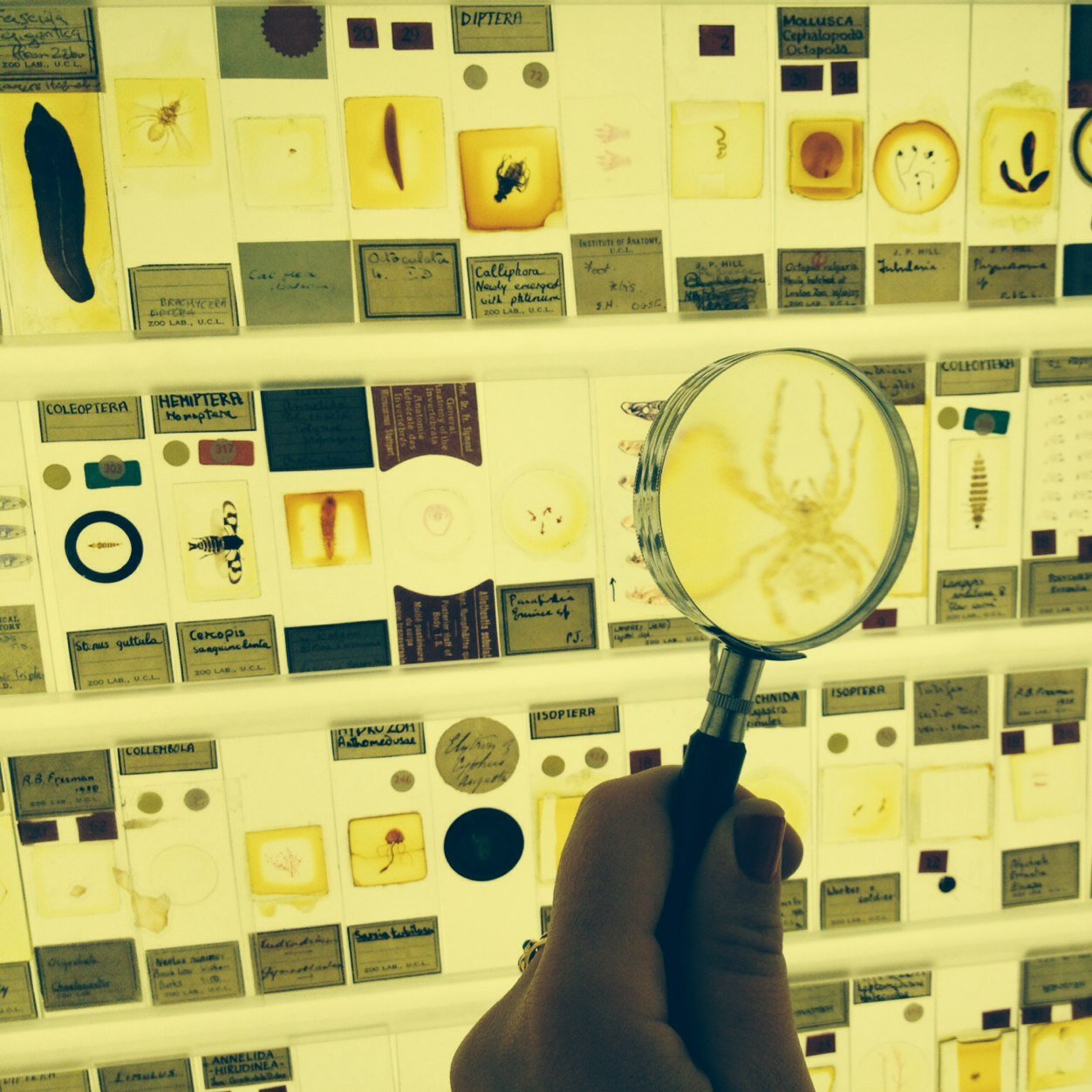 pho_to_ant's profile picture. Photographer, teacher, cyclist. Darkroom dweller. Keen on anthropology.