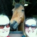 Diane Proffitt - @dianep923 - Twitter