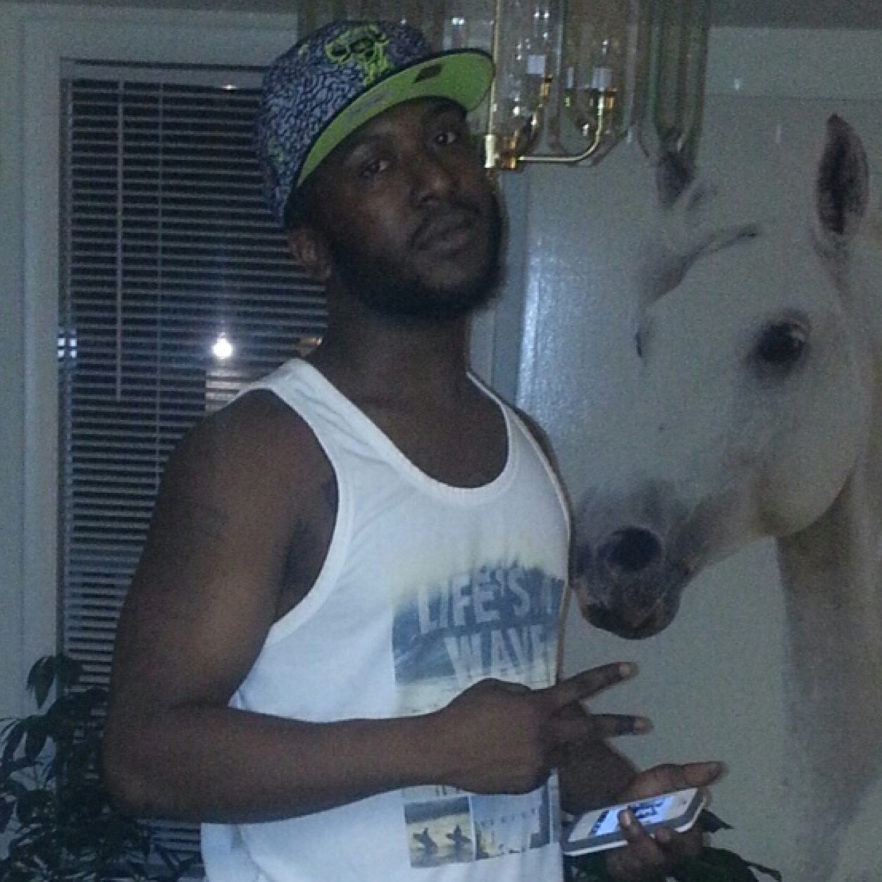 norfolknative86's profile picture. 