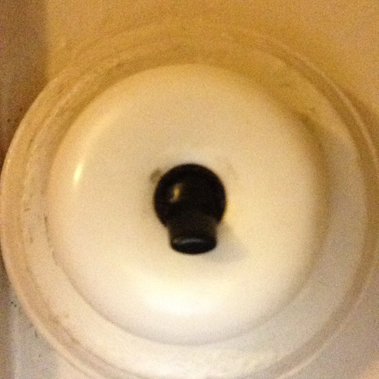 mcmillan_sophie's profile picture. 