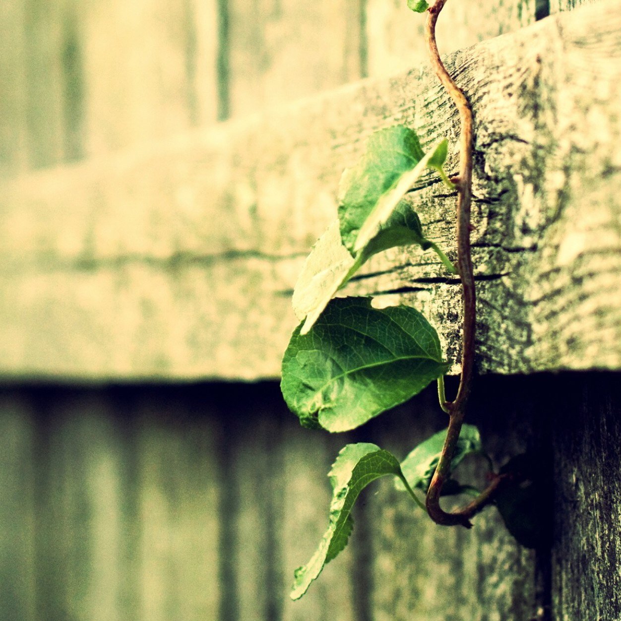 masa0900825's profile picture. 