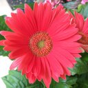 julia hawthorne - @juleshaw77 - Twitter