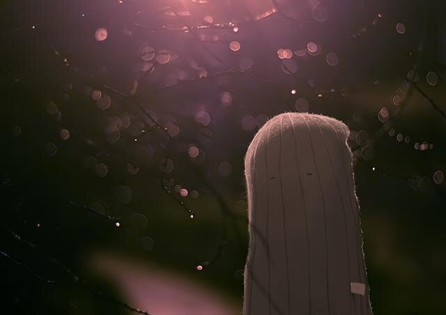 meldepso's profile picture. Breather, reader, writer + some. Into air, art, music & molecules, among other things. ~ internationalist, buena onda ~