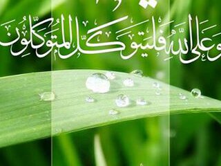 NovhaMachmoed's profile picture. بِاسْــــــــــــــمِاللهِالرَّحْمَنِالرَّحِيْـــــمِ