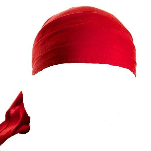 Serialised vignettes from the forthcoming biography: 'A Year in the Life of Peter FitzSimons.' Written by Peter's Bandana.