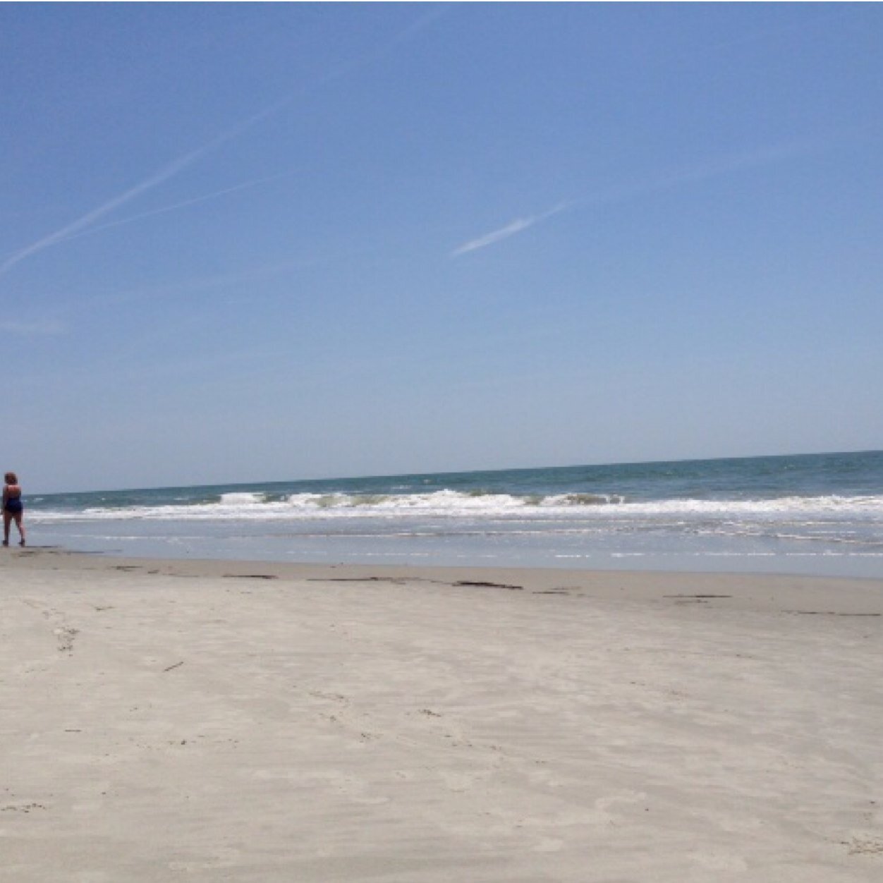 cusimano_tara's profile picture. 