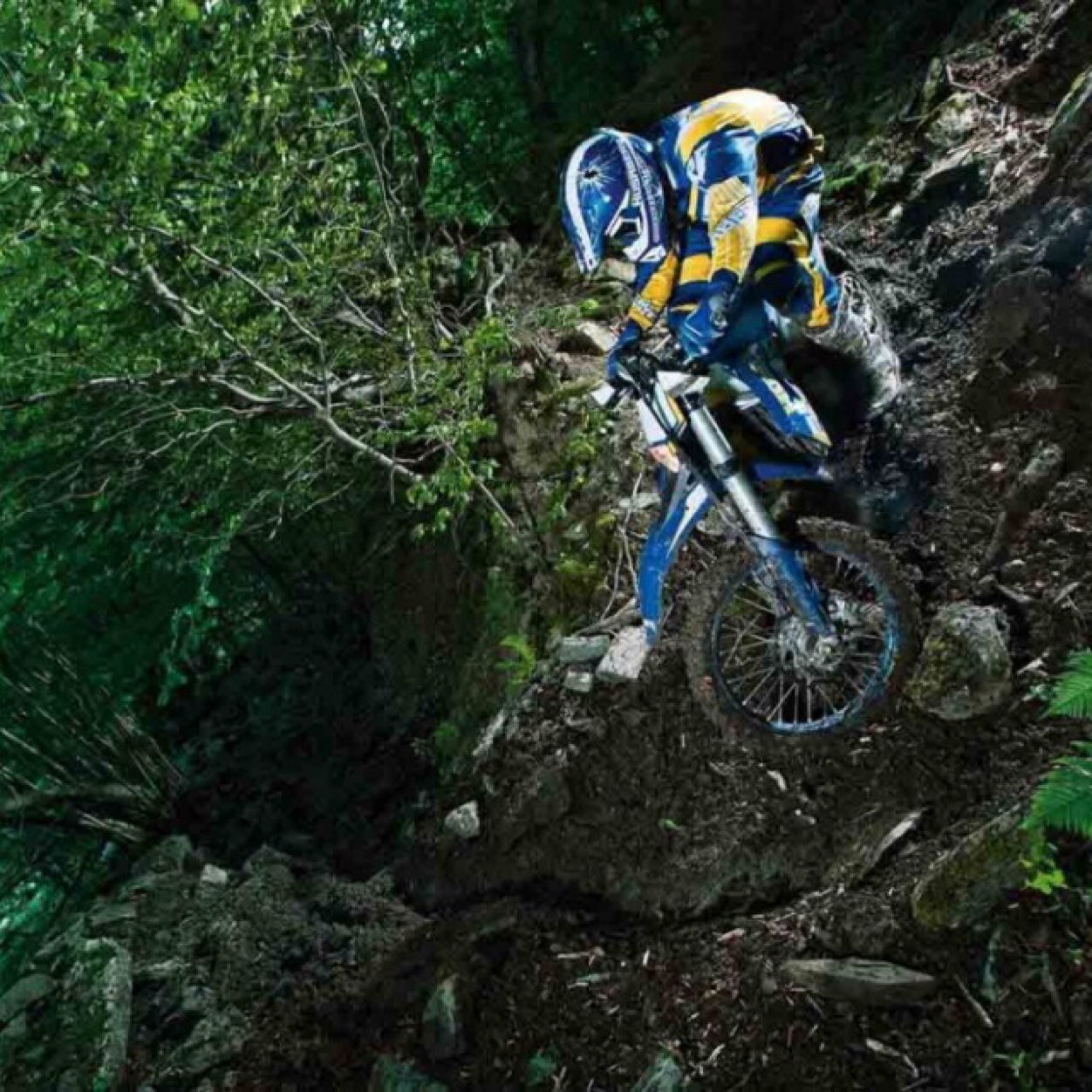 singletrack56's profile picture. The relentless pursuit of the fat part of 3rd gear....