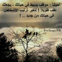 ءءءء (@0932c47f43fb408) Twitter