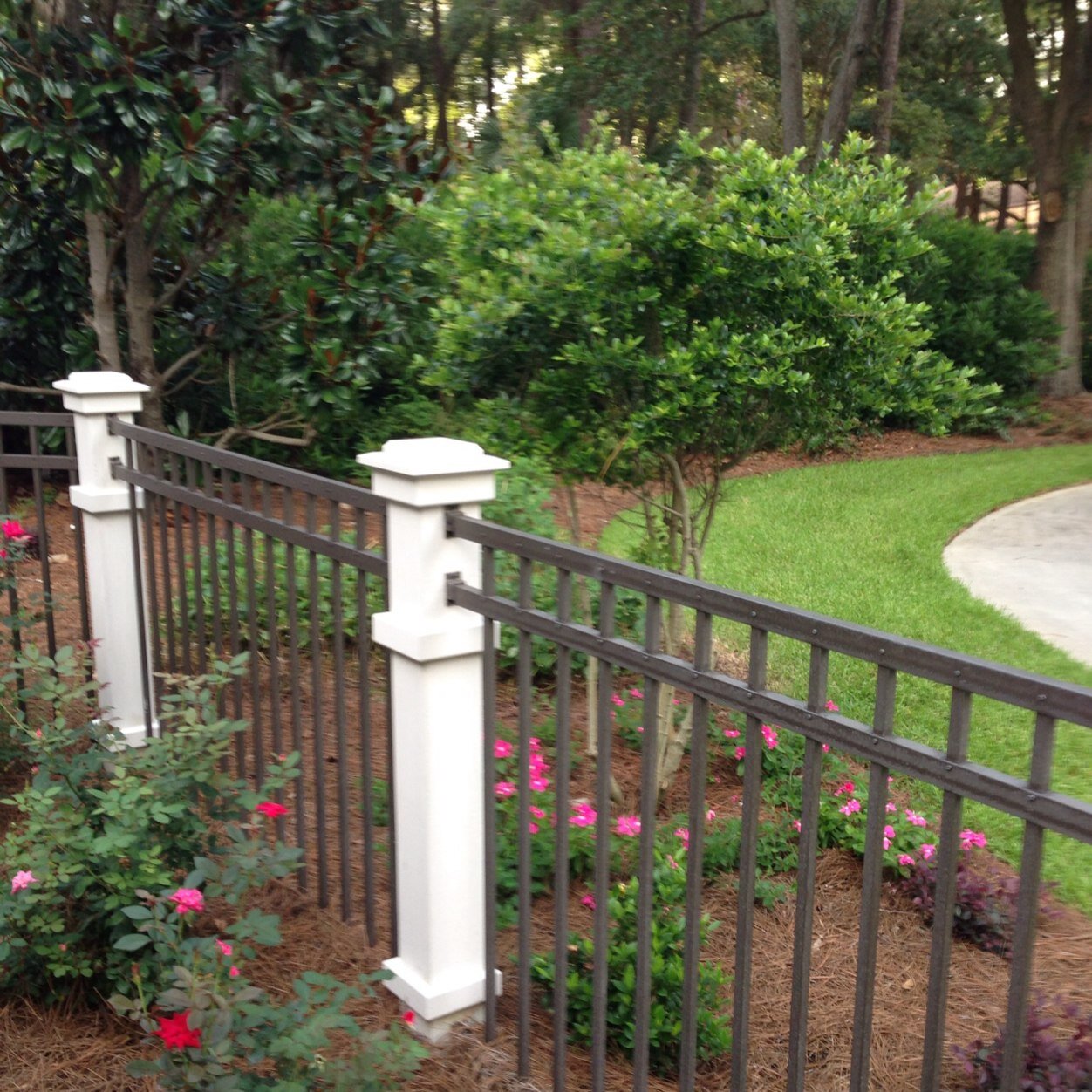 mills_susipm's profile picture. 