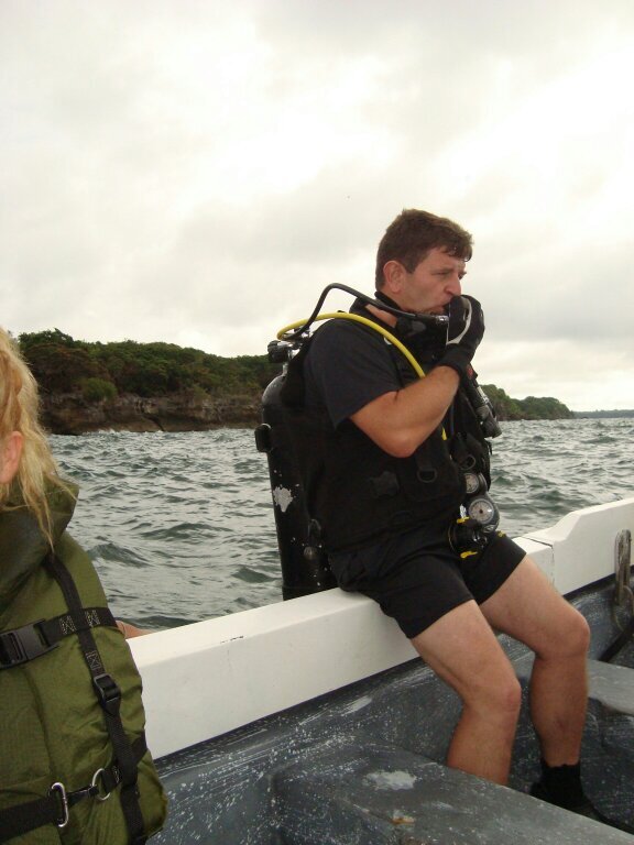 JORAJARAMILLO's profile picture. 