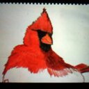 Steve Hager - @Hardwdcvr - Twitter