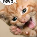 Rex West - @rexwest5 - Twitter