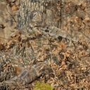 Cole Murray - @ColeColeryan - Twitter