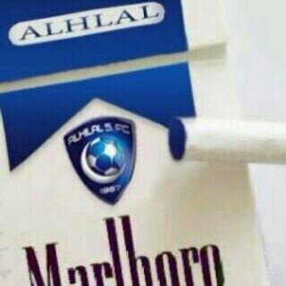 احبك~؟~