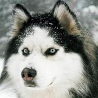 Catac (@catac17) 's Twitter Profile Photo