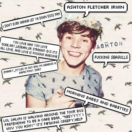 GO FOLLOW THIS CALUM, CALUMSXX @jigglypunkirwin & if u already follow her then you're
