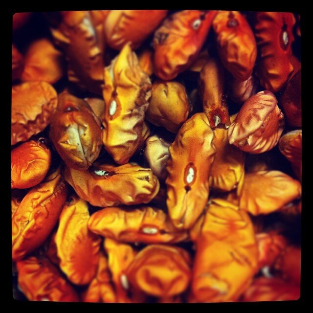 VicentaLents's profile picture. Cute and quiet. Loves the Bears, White Sox, and Bulls. Fan of kpop music Oneday, Miss A, and MBLAQ.